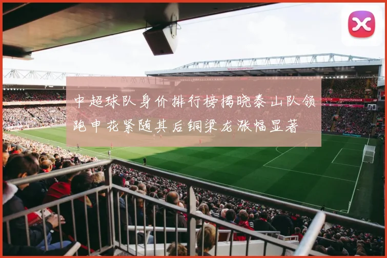 中超球队身价排行榜揭晓泰山队领跑申花紧随其后铜梁龙涨幅显著