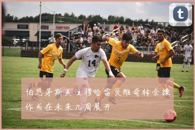 伯恩茅斯关注穆哈雷莫维奇转会操作或在未来几周展开